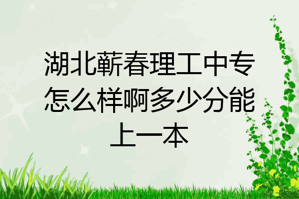 湖北蕲春理工中专怎么样啊多少分能上一本
