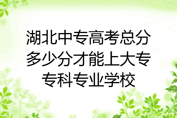 湖北中专高考总分多少分才能上大专专科专业学校