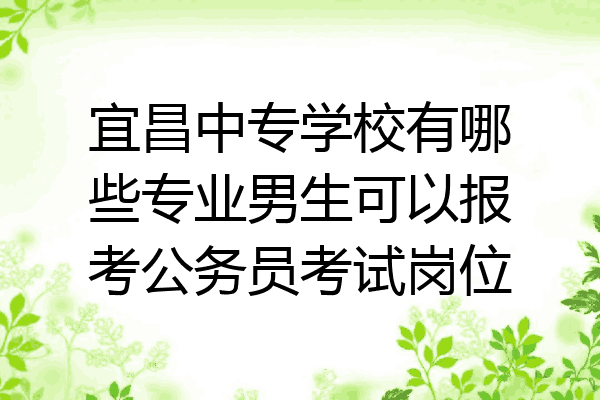 宜昌中专学校有哪些专业男生可以报考公务员考试岗位