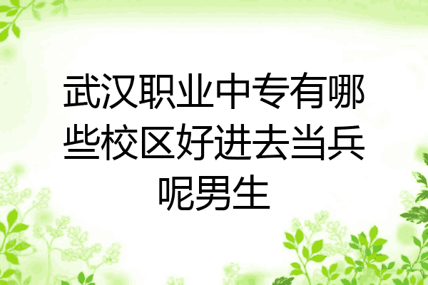 武汉职业中专有哪些校区好进去当兵呢男生