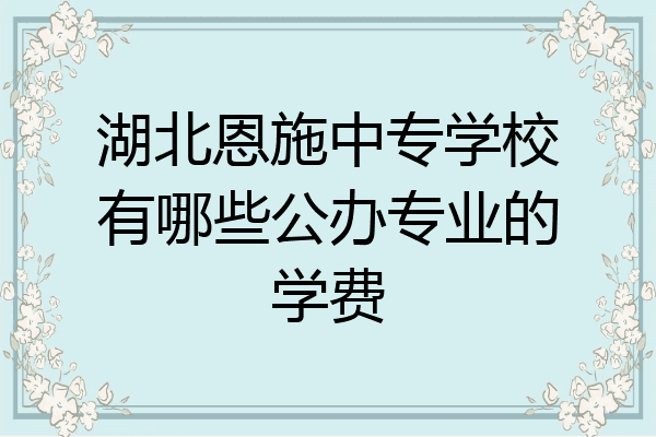 湖北恩施中专学校有哪些公办专业的学费