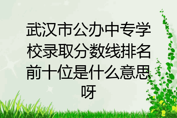 武汉市公办中专学校录取分数线排名前十位是什么意思呀