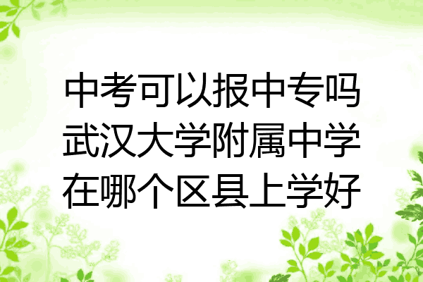中考可以报中专吗武汉大学附属中学在哪个区县上学好