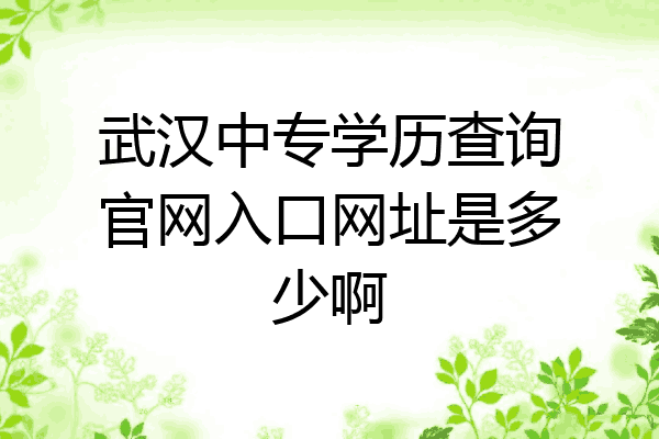 武汉中专学历查询官网入口网址是多少啊