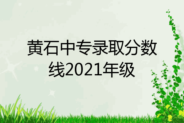 黄石中专录取分数线2021年级