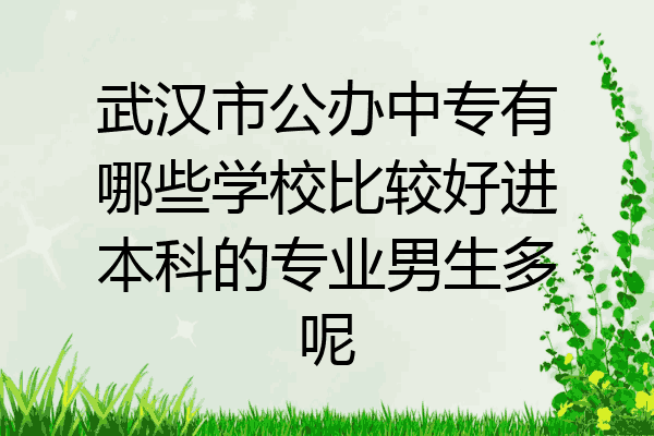武汉市公办中专有哪些学校比较好进本科的专业男生多呢