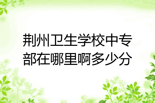 荆州卫生学校中专部在哪里啊多少分