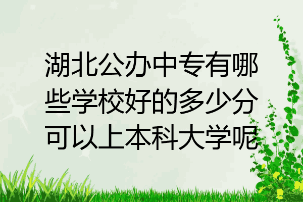 湖北公办中专有哪些学校好的多少分可以上本科大学呢
