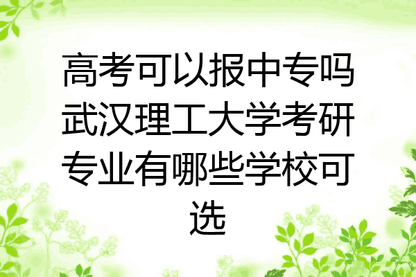高考可以报中专吗武汉理工大学考研专业有哪些学校可选