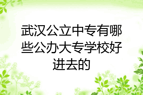 武汉公立中专有哪些公办大专学校好进去的