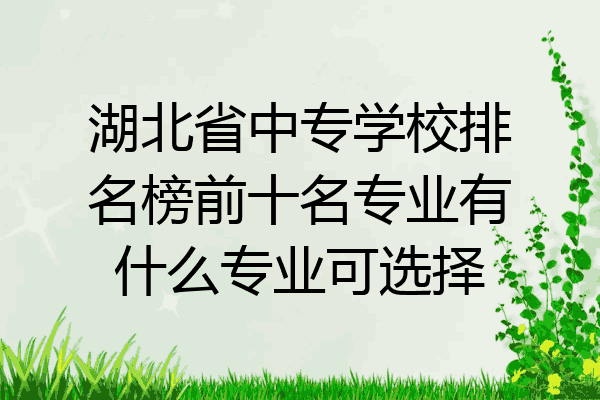 湖北省中专学校排名榜前十名专业有什么专业可选择