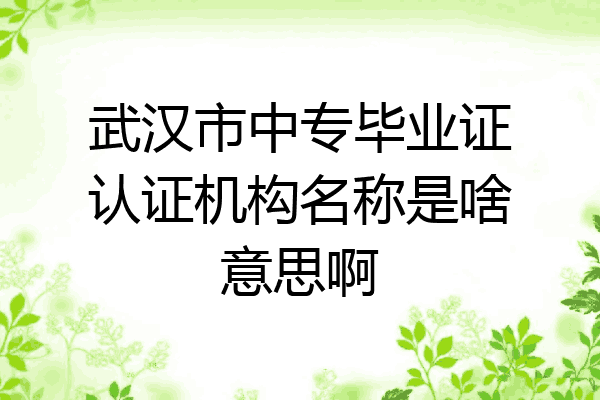 武汉市中专毕业证认证机构名称是啥意思啊