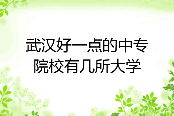 武汉好一点的中专院校有几所大学
