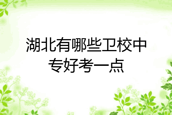 湖北有哪些卫校中专好考一点