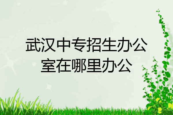 武汉中专招生办公室在哪里办公