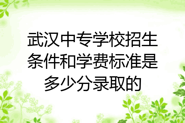 武汉中专学校招生条件和学费标准是多少分录取的