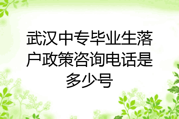 武汉中专毕业生落户政策咨询电话是多少号