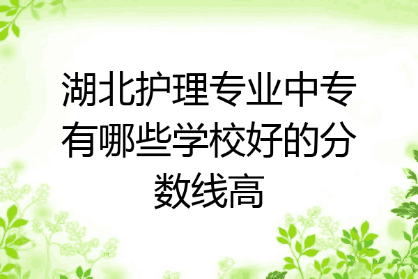 湖北护理专业中专有哪些学校好的分数线高
