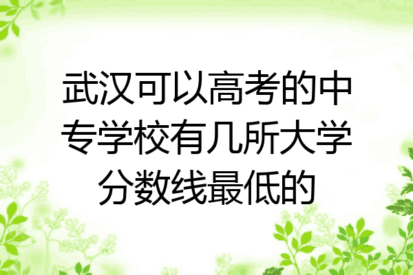武汉可以高考的中专学校有几所大学分数线最低的