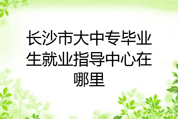 长沙市大中专毕业生就业指导中心在哪里