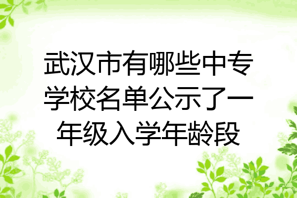 武汉市有哪些中专学校名单公示了一年级入学年龄段