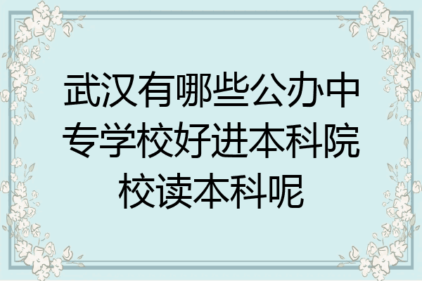武汉有哪些公办中专学校好进本科院校读本科呢