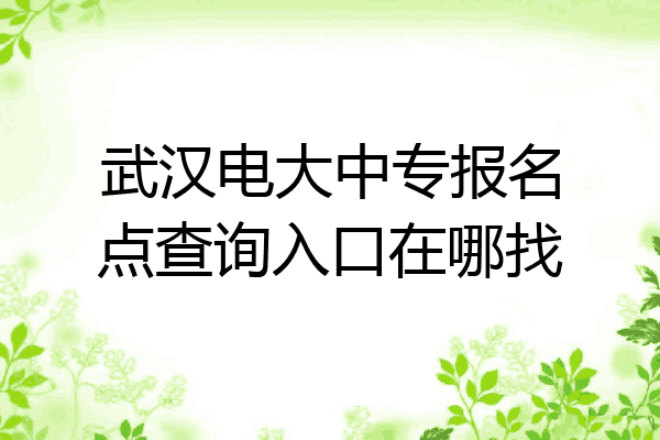 武汉电大中专报名点查询入口在哪找