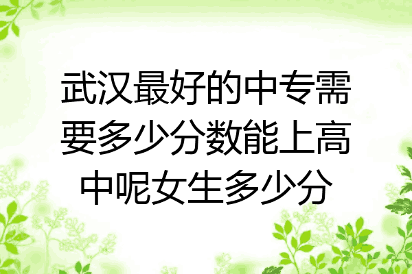 武汉最好的中专需要多少分数能上高中呢女生多少分