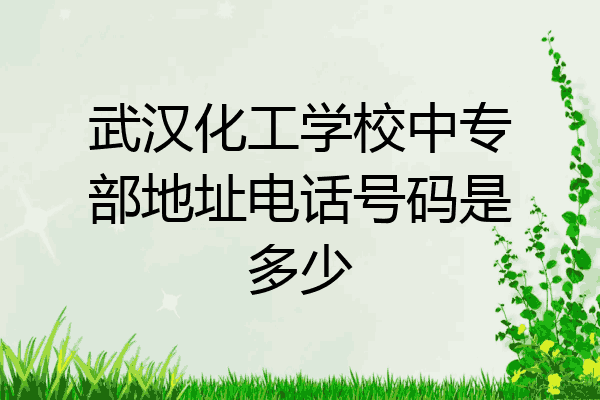武汉化工学校中专部地址电话号码是多少