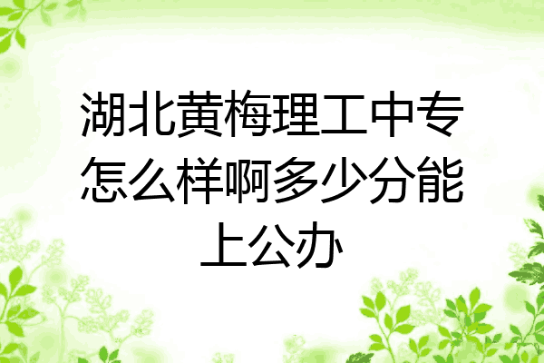 湖北黄梅理工中专怎么样啊多少分能上公办