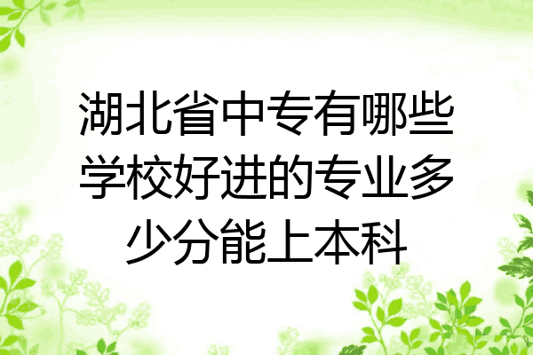 湖北省中专有哪些学校好进的专业多少分能上本科
