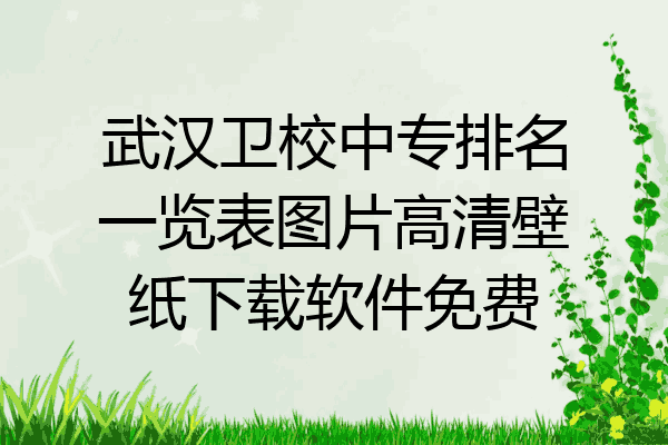武汉卫校中专排名一览表图片高清壁纸下载软件免费