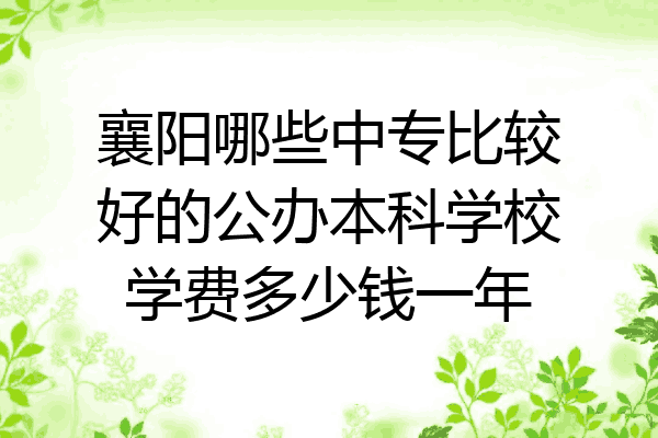 襄阳哪些中专比较好的公办本科学校学费多少钱一年