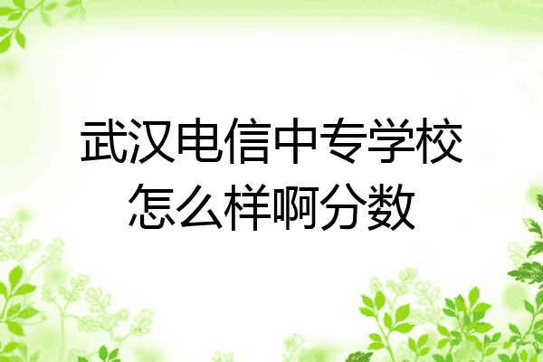 武汉电信中专学校怎么样啊分数