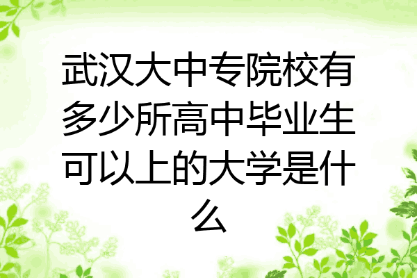 武汉大中专院校有多少所高中毕业生可以上的大学是什么