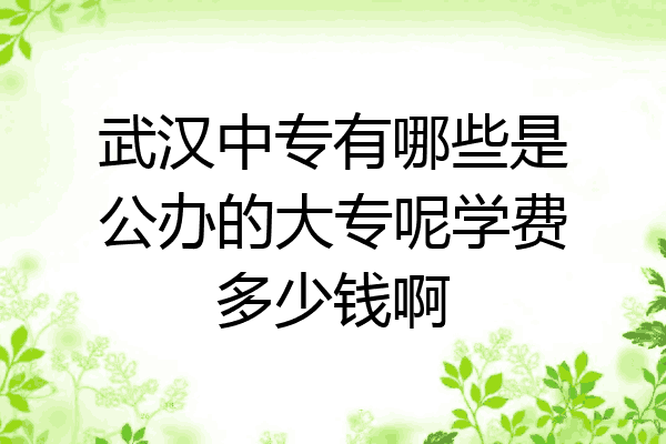 武汉中专有哪些是公办的大专呢学费多少钱啊