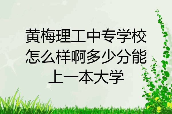黄梅理工中专学校怎么样啊多少分能上一本大学