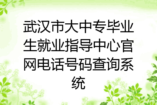 武汉市大中专毕业生就业指导中心官网电话号码查询系统