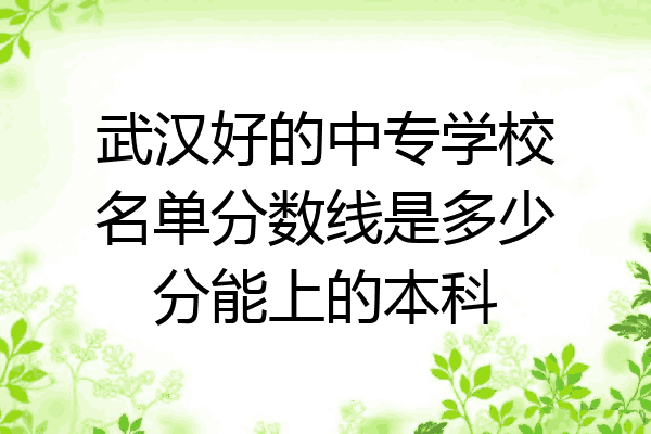 武汉好的中专学校名单分数线是多少分能上的本科