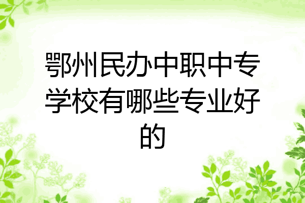 鄂州民办中职中专学校有哪些专业好的