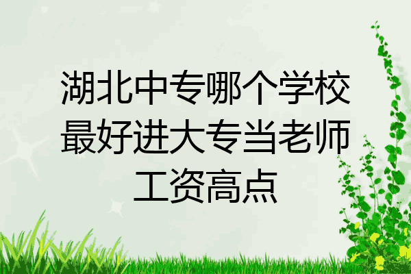 湖北中专哪个学校最好进大专当老师工资高点