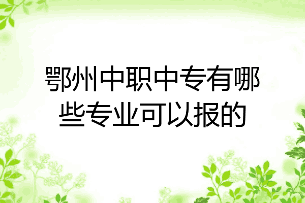 鄂州中职中专有哪些专业可以报的