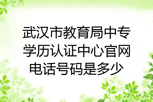武汉市教育局中专学历认证中心官网电话号码是多少