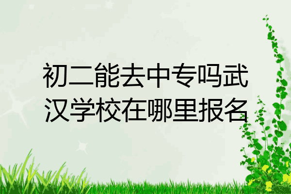 初二能去中专吗武汉学校在哪里报名