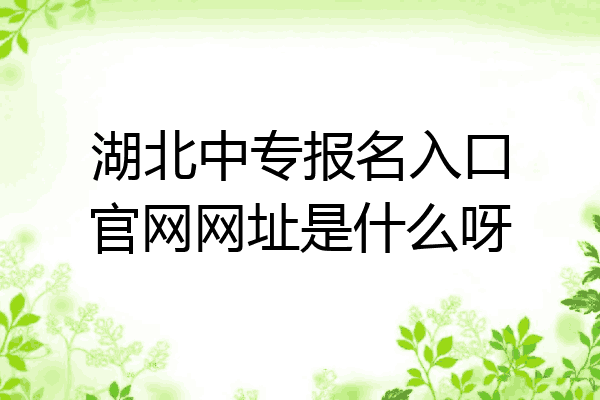 湖北中专报名入口官网网址是什么呀