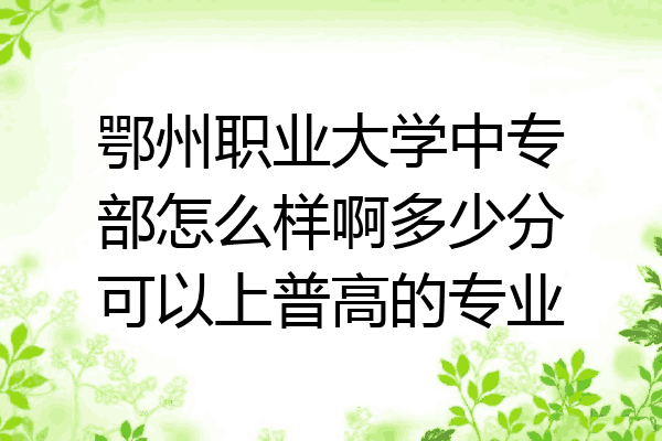 鄂州职业大学中专部怎么样啊多少分可以上普高的专业