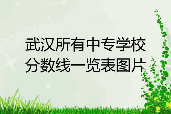 武汉所有中专学校分数线一览表图片