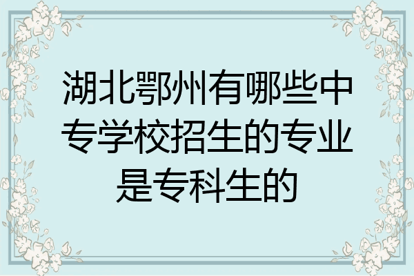 湖北鄂州有哪些中专学校招生的专业是专科生的