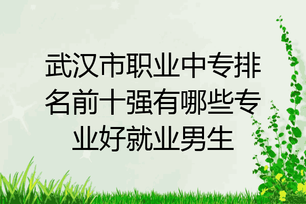 武汉市职业中专排名前十强有哪些专业好就业男生