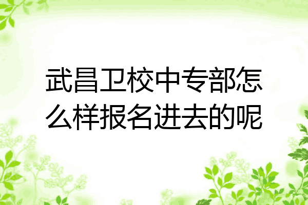 武昌卫校中专部怎么样报名进去的呢